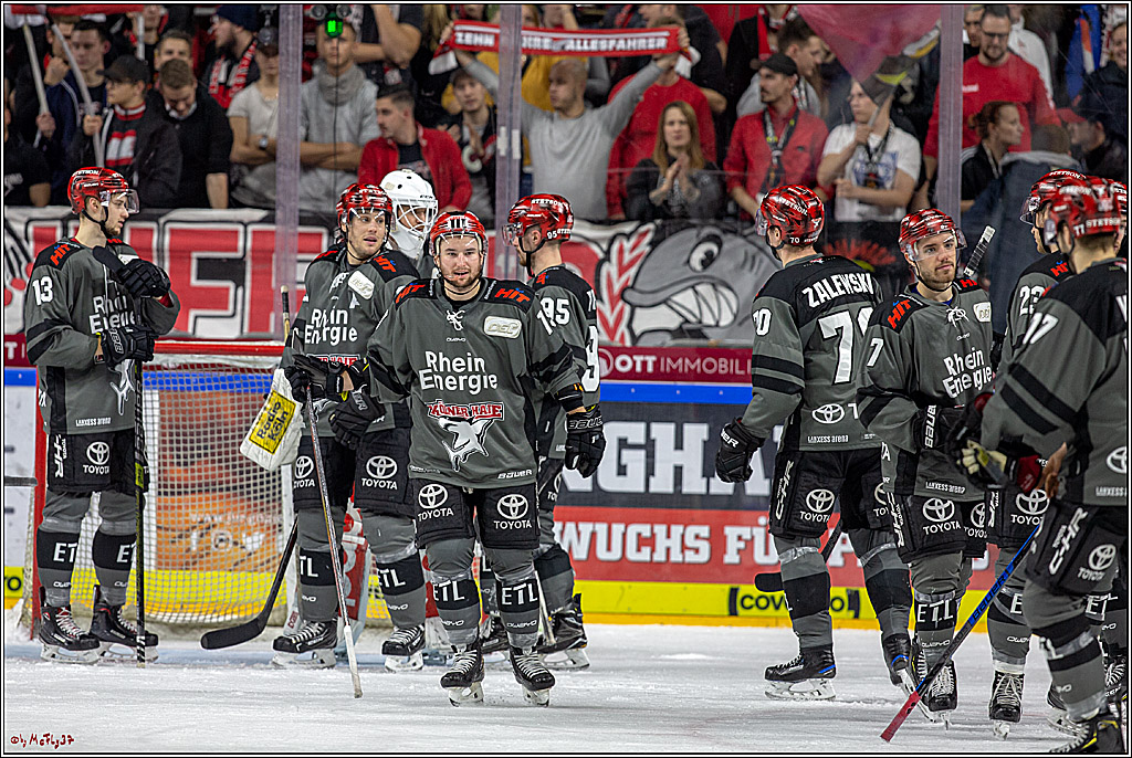 DEL; Koelner Haie - Straubing Tigers, 02.12.2018